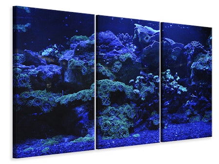 Ljuddämpande tavla -  Coral reef in blue