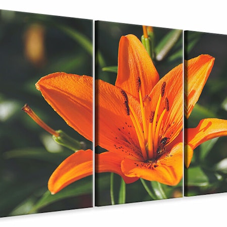 Ljuddämpande tavla -  Lilies blossom in orange XL