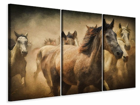 Ljuddämpande tavla -  Painting wild horses