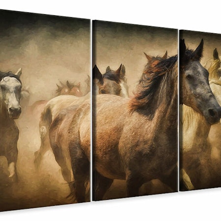 Ljuddämpande tavla -  Painting wild horses