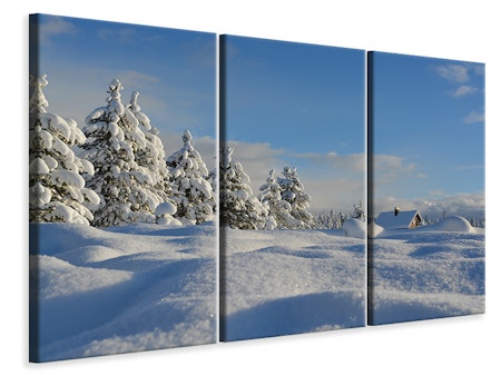 Ljuddämpande tavla -  Beautiful snow landscape