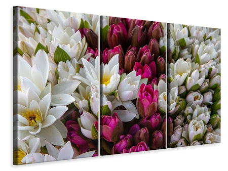 Ljuddämpande tavla -  A bouquet of water lilies