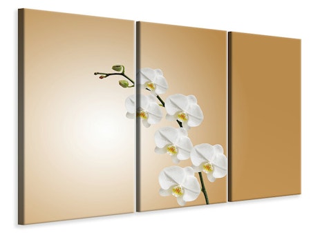 Ljuddämpande tavla -  White orchids XL
