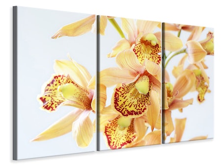Ljuddämpande tavla -  Yellow orchid