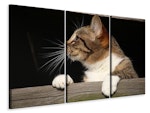 Ljuddämpande tavla -  XL cat