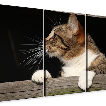 Ljuddämpande tavla -  XL cat