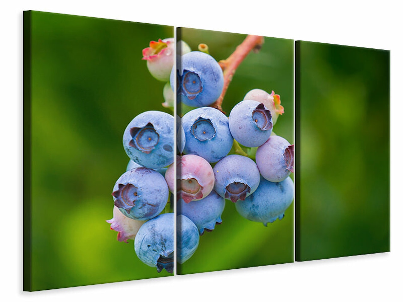 Ljuddämpande tavla -  Blueberries in nature