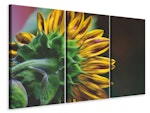 Ljuddämpande tavla -  Sunflower Close up
