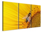 Ljuddämpande tavla -  Bee on the sunflower