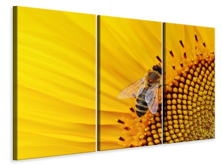 Ljuddämpande tavla -  Bee on the sunflower