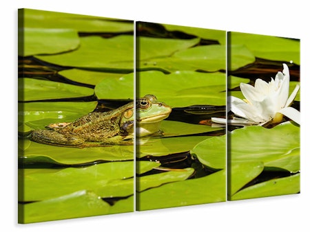 Ljuddämpande tavla -  The frog and the water lily