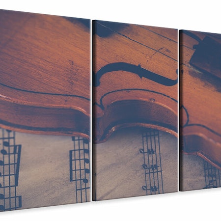 Ljuddämpande tavla -  Old violin