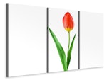 Ljuddämpande tavla -  The proud tulip