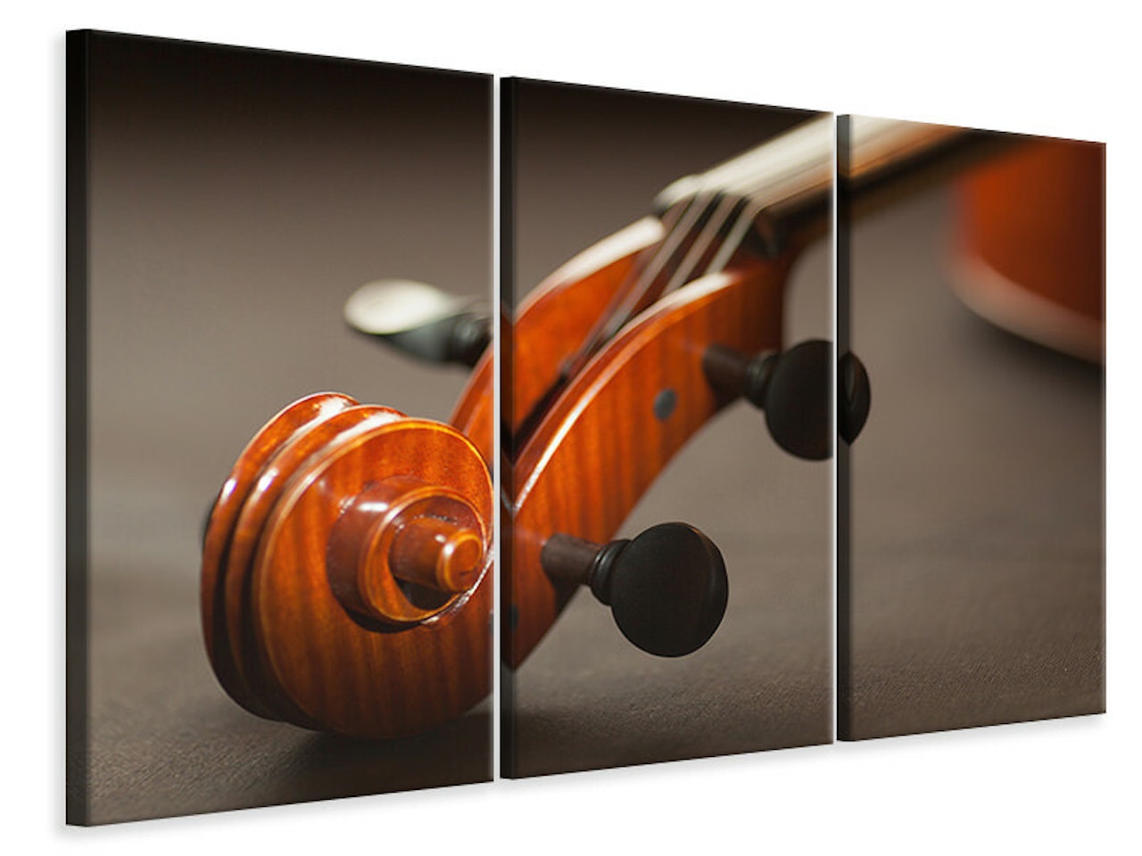 Ljuddämpande tavla -  Close up violin