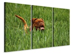 Ljuddämpande tavla -  The mastiff in the grass