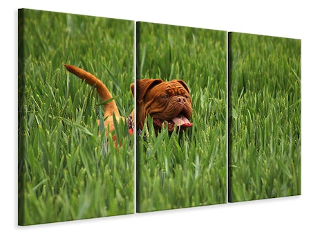 Ljuddämpande tavla -  The mastiff in the grass