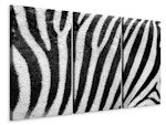 Ljuddämpande tavla -  Strip of the zebra