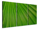 Ljuddämpande tavla -  Palm stripe 1