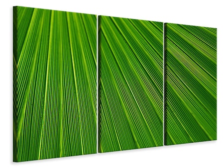 Ljuddämpande tavla -  Palm stripe 1