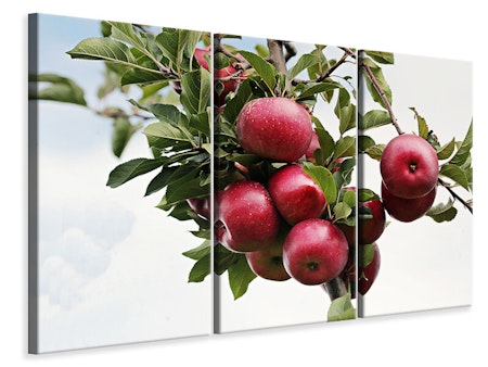 Ljuddämpande tavla -  Close up apple tree