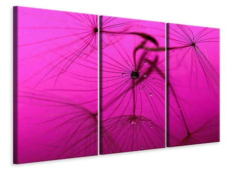 Ljuddämpande tavla -  Dandelion in pink