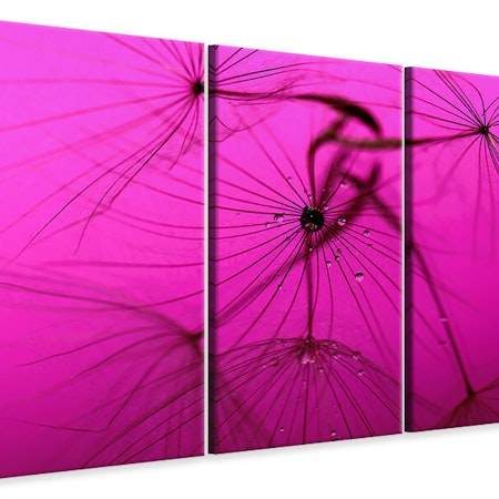 Ljuddämpande tavla -  Dandelion in pink