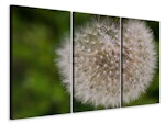 Ljuddämpande tavla -  The dandelion in nature