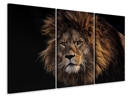 Ljuddämpande tavla -  Portrait of a lion