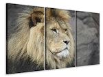 Ljuddämpande tavla -  Lion head XL
