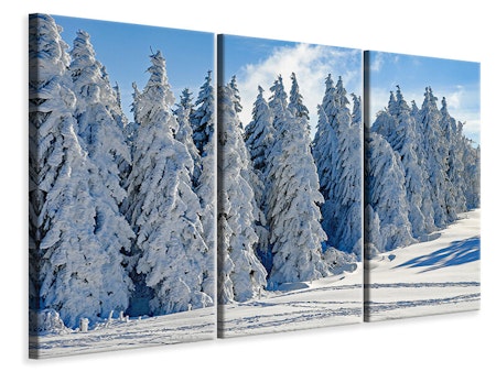 Ljuddämpande tavla -  Beautiful winter landscape