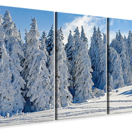 Ljuddämpande tavla -  Beautiful winter landscape