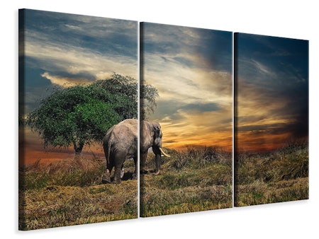Ljuddämpande tavla -  The elephant in the sunset