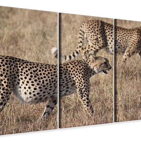 Ljuddämpande tavla -  2 leopards