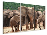Ljuddämpande tavla -  Elephant herd in Africa