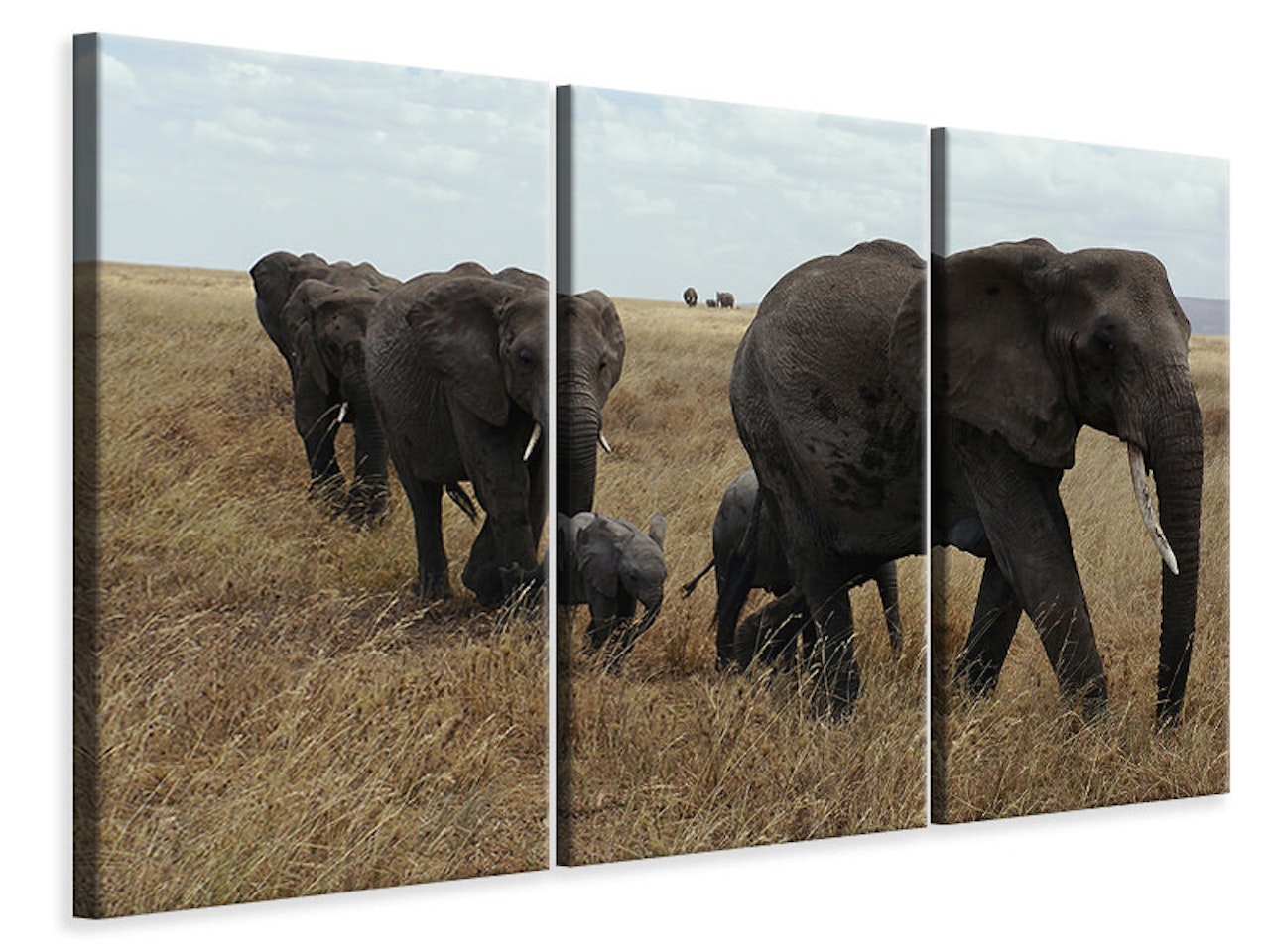 Ljuddämpande tavla -  Elephant family