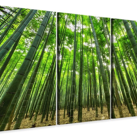 Ljuddämpande tavla -  The bamboo forest