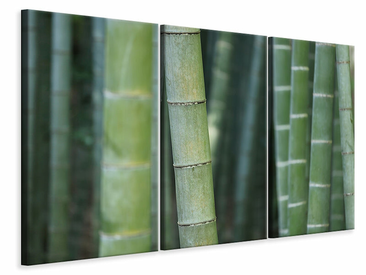 Ljuddämpande tavla -  Bamboo in XXL