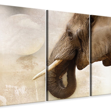 Ljuddämpande tavla -  Portrait of an elephant