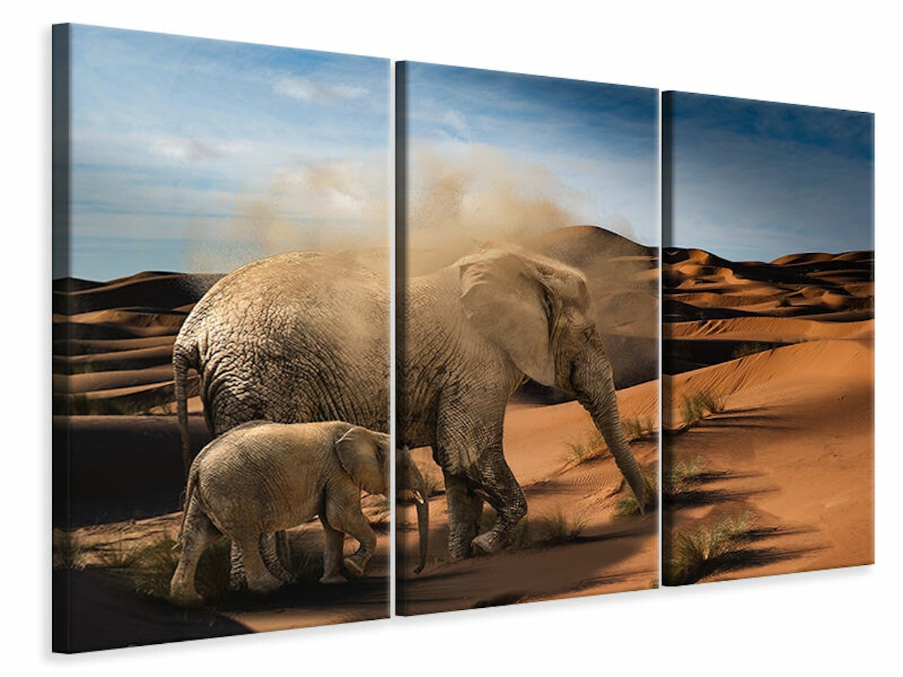Ljuddämpande tavla -  Elephants in the desert