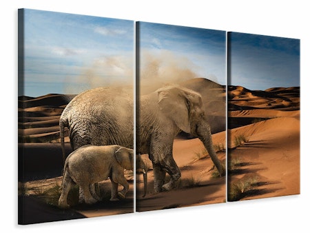 Ljuddämpande tavla -  Elephants in the desert