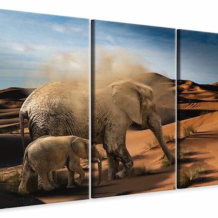 Ljuddämpande tavla -  Elephants in the desert