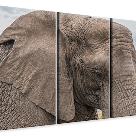 Ljuddämpande tavla -  XL elephant