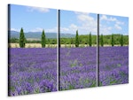 Ljuddämpande tavla -  Magnificent lavender field
