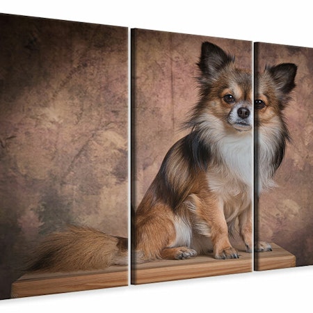 Ljuddämpande tavla -  Chihuahua portrait