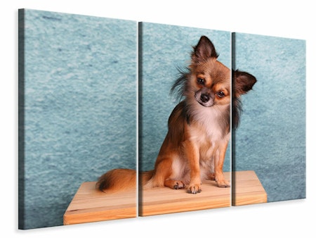 Ljuddämpande tavla -  Typical Chihuahua