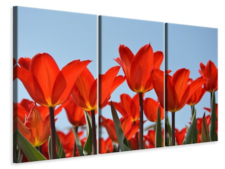 Ljuddämpande tavla -  Red tulips XL