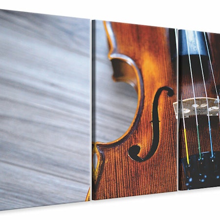 Ljuddämpande tavla -  Close up violin 2