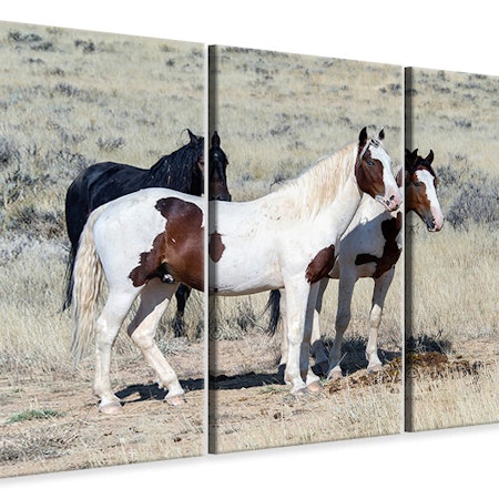 Ljuddämpande tavla -  3 wild horses