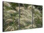 Ljuddämpande tavla -  Ornamental grass in the wind