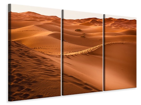 Ljuddämpande tavla -  Traces in the desert